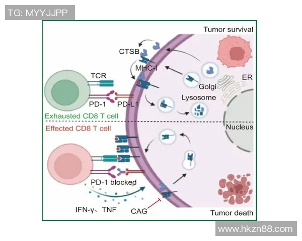 南京街舞队战术解析与对比研究深入探讨团队风格与竞争策略