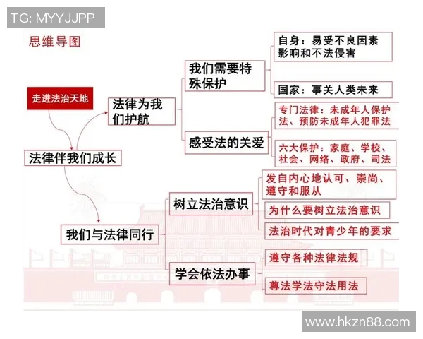 以法治为核心推动社会和谐发展强化法治建设保障人民权益的路径探讨